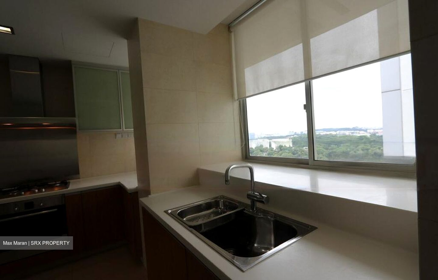 Montview (D10), Condominium #480276851